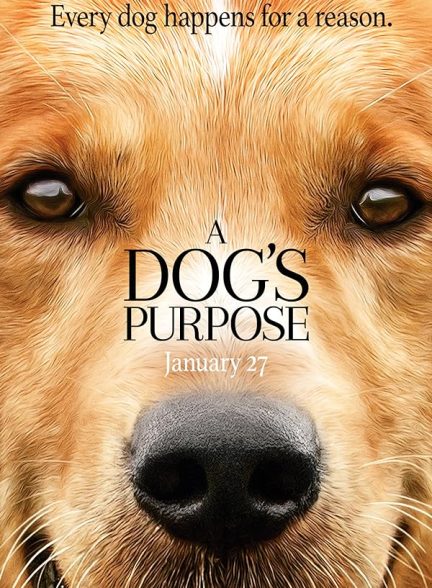 دانلود فیلم A Dog’s Purpose