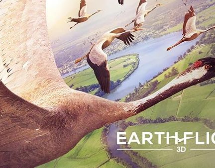 دانلود فیلم Earthflight: A 3D Journey