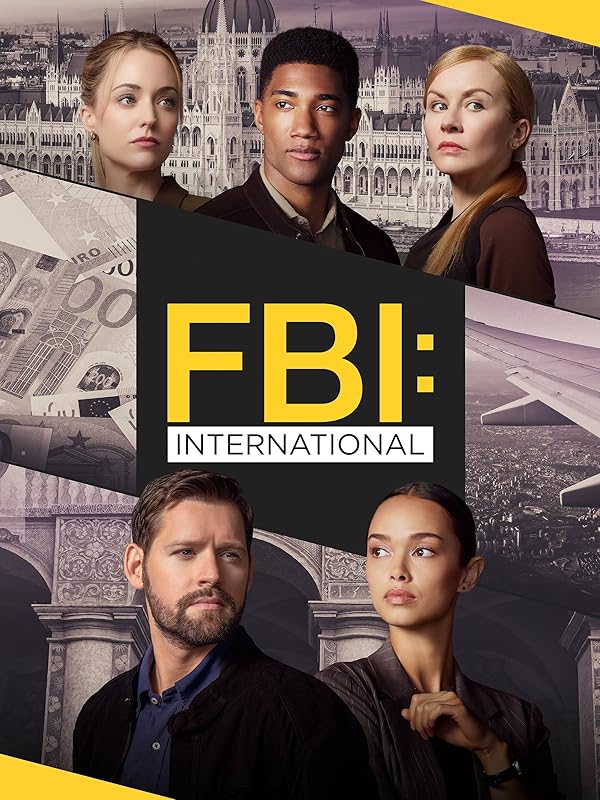 دانلود سریال  FBI: International